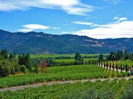 vinařský region Nappa Valley