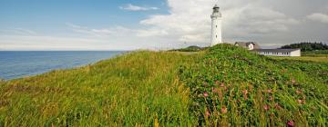 Перельоти в регіон Nordjylland