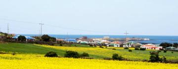 Vluchten naar Jeju Island