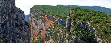 Leti v regijo South of France