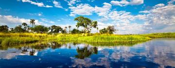 Flights to Okavango Delta