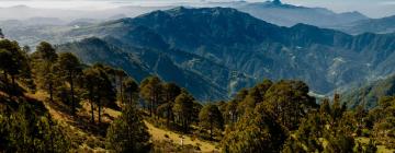 Vols a Quetzaltenango