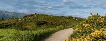 Vols pour la région : Camino del Norte