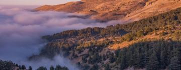 Πτήσεις προς Mount Lebanon