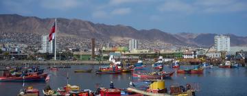Lidojumi uz reģionu Antofagasta Region