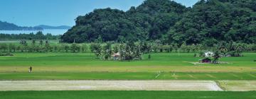 Mga flight papuntang Kedah