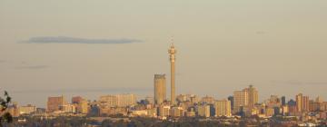 Flights to Gauteng