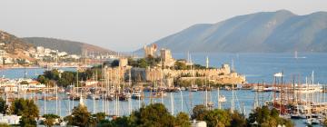 Vuelos a Península de Bodrum