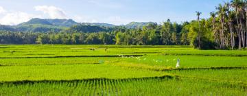 Penerbangan ke Visayas