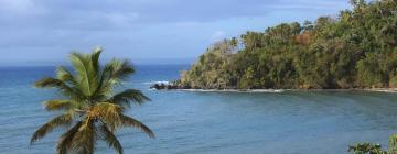 Flights to Greater Antilles