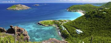 Flights to French West Indies