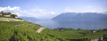 Flug á áfangastaðinn Lake Geneva