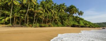 Süd-Goa: Flüge hierher