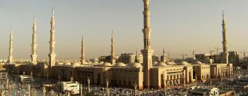 Flights to Al Madinah Al Munnawarah Province