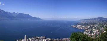 Flights to Lake Geneva Region / Vaud