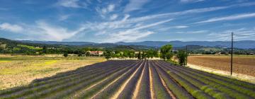 Letenky do oblasti Provence - Alpes - Côte d'Azur