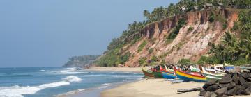 Flights to Goa