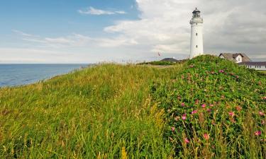 Lennud sihtkohta Nordjylland