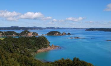 Zboruri către Bay of Islands