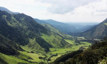 Flights to Quindio