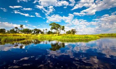 Okavango Delta: Flüge hierher