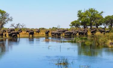 Flights to Caprivi Strip