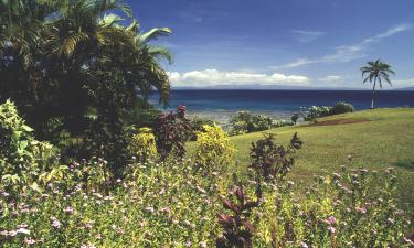 Lennot kohteeseen Taveuni