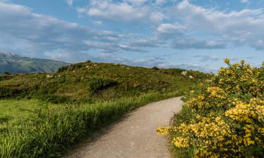 Перельоти в регіон Camino del Norte