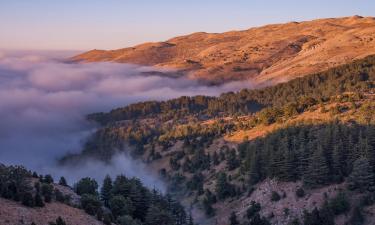 Mount Lebanon – loty do tego miejsca