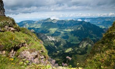 Flights to Coromandel Peninsula