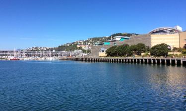 Flights to Wellington