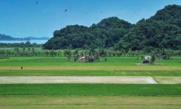 Letovi za regiju 'Kedah'