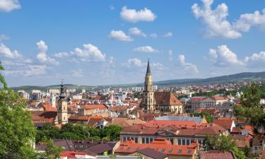 Flights to Cluj