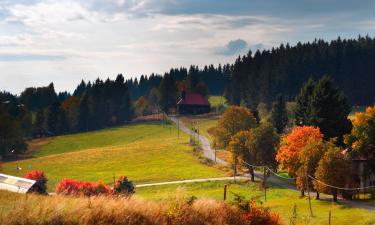 Chuyến bay đến Moravia-Silesia