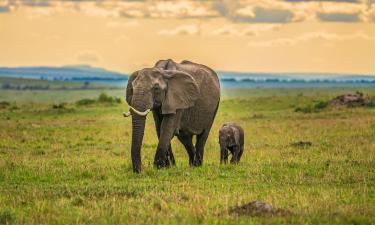 Flights to Maasai Mara National Reserve