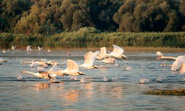 Letenky do oblasti Donau