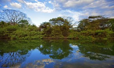 Flights to Guanacaste