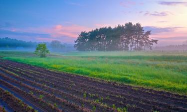 Skrydžiai į regioną Mazowieckie