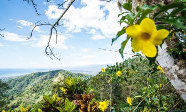 Voli per: Puntarenas