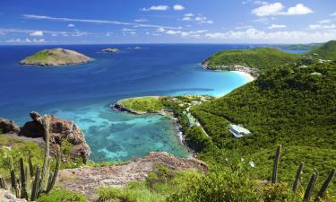 Flights to French West Indies