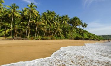 Flights to South Goa