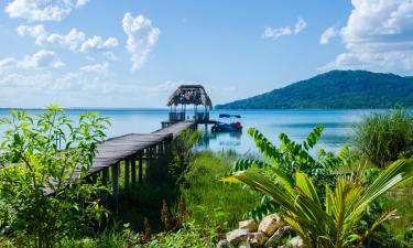 Vols pour la région : Peten