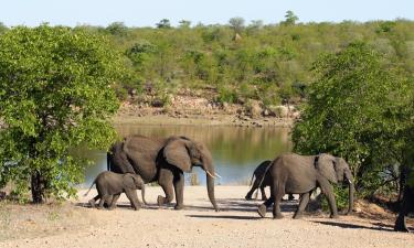 Vols pour la région : Parc national Kruger