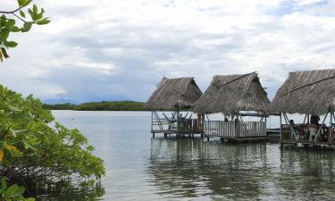 Penerbangan ke Bocas del Toro