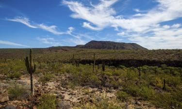 Flights to Baja California