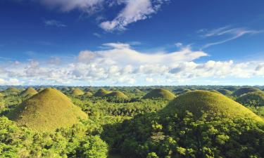 Lennot kohteeseen Bohol