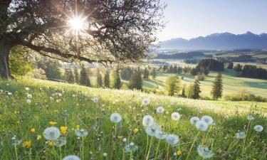 Bayern: Flüge hierher