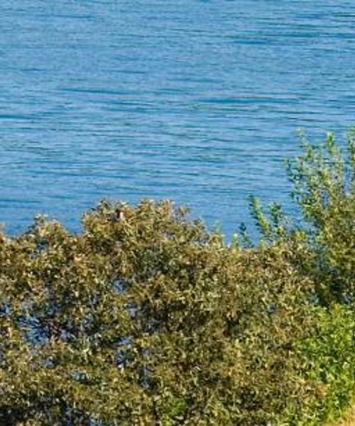 A beautiful view of Gotland