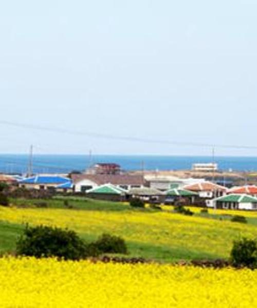 Ein schöner Blick auf die Region Insel Jeju