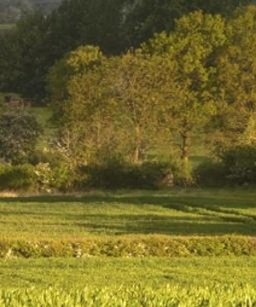 A beautiful view of Warwickshire